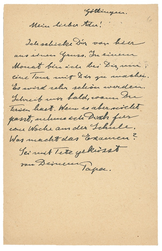 Lot 225 Albert Einstein