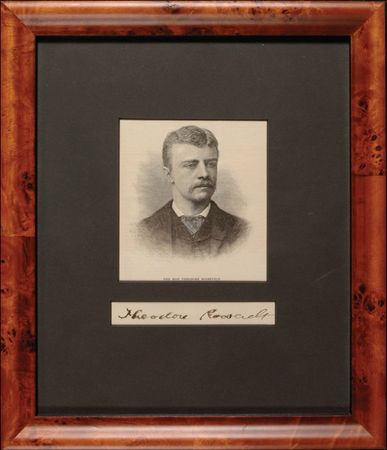 Lot #160 Theodore Roosevelt - Image 1