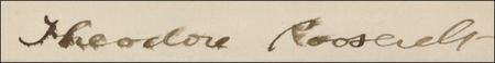 Lot #160 Theodore Roosevelt - Image 2