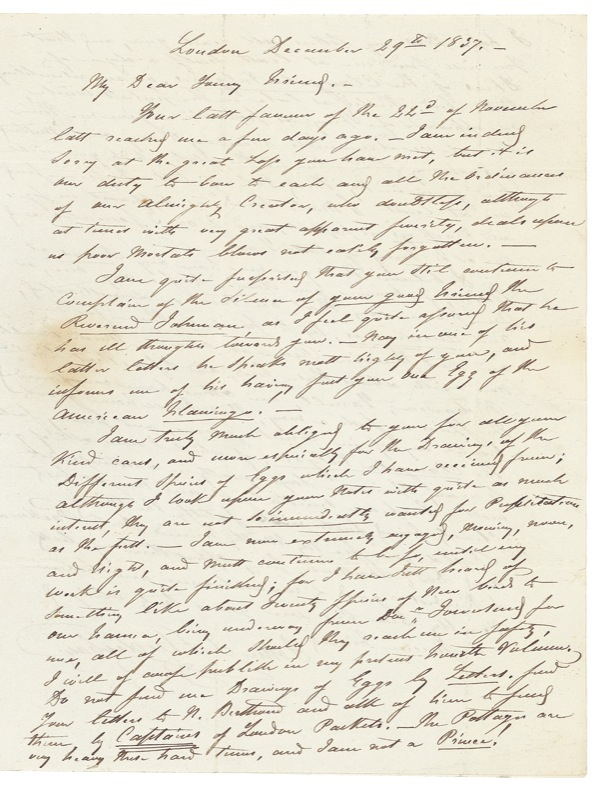 Lot 188 John J. Audubon: “Extremely engaged … as I have heard of something like twenty species of new birds”: AUDUBON seeks the assistance of a fellow ornithologist as he toils to finish his magnum opus, BIRDS OF NORTH AMERICA