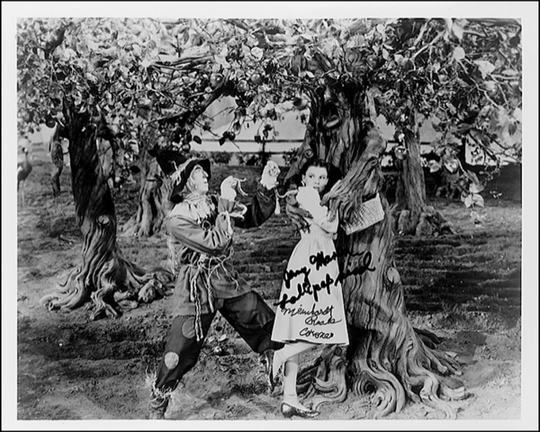 Lot 1115 Wizard of Oz Group Lot