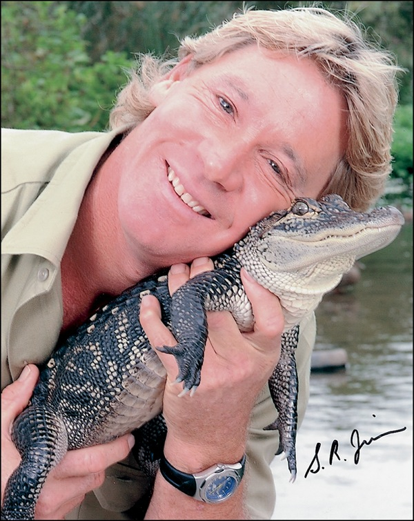 Lot 953 Steve Irwin Signed Photograph