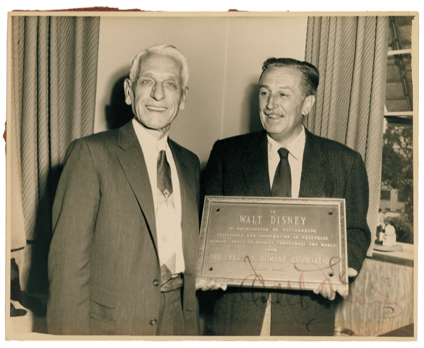 Lot 566 Walt Disney Signed Photograph