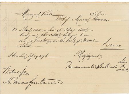 Lot #1028 Alexander J. Cartwright: The Father of baseball - Image 1