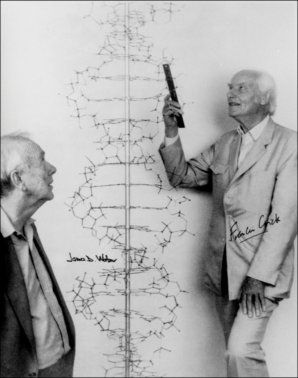 Lot 247 James D. Watson and Francis Crick Signed Photograph
