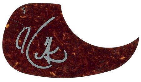 Lot #602 Pick Guards Group Lot - Image 1