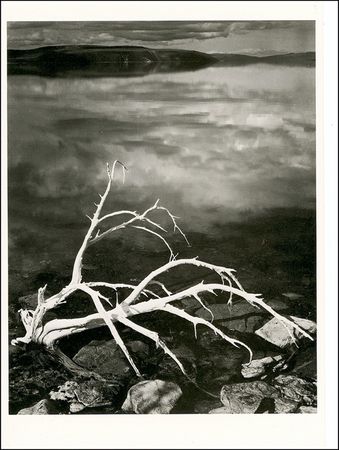 Lot #465 Ansel Adams Group Lot - Image 2