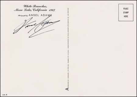 Lot #465 Ansel Adams Group Lot - Image 3