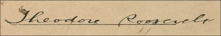 Lot #158 Theodore Roosevelt Signed Document - Image 2