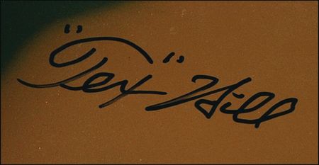 Lot #324 Flying Tigers: Hill, Tex Airplane Model - Image 2