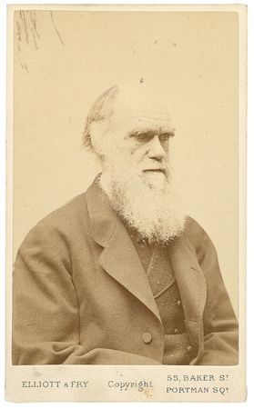 Lot #180 Charles Darwin: “THE GREATEST TRIUMPH OF SCIENCE”: DARWIN excitedly reports on recent findings on the origins of infectious diseases - Image 5