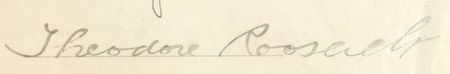 Lot #190 Theodore Roosevelt Signed Document - Image 2