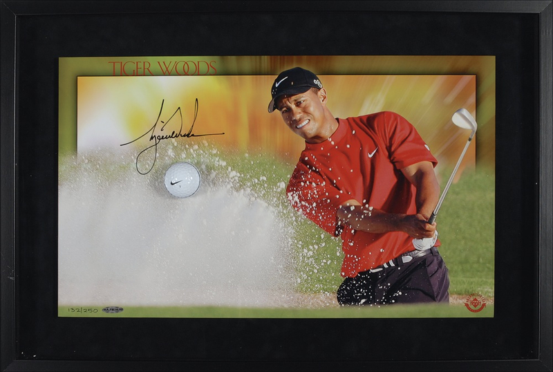 Lot 1460 Tiger Woods