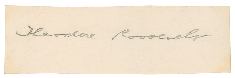 Lot 138 Theodore Roosevelt Signature