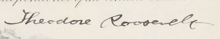 Lot #135 Theodore Roosevelt Signed Document - Image 2