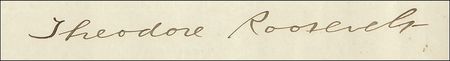 Lot #88 Theodore Roosevelt and William H. Taft: Provisional Puerto Rican military appointment - Image 2