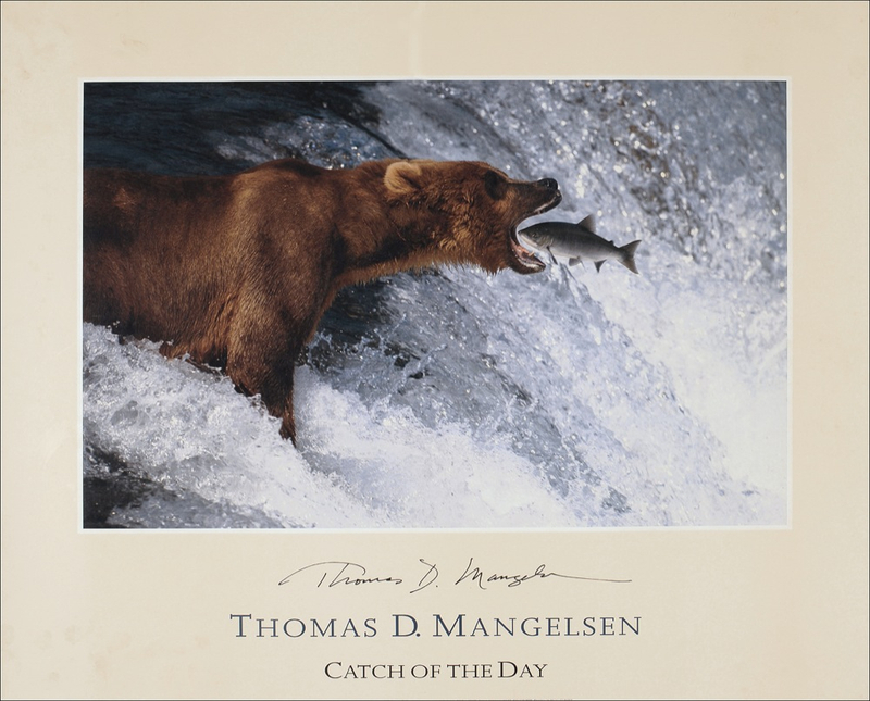 Lot 510 Thomas Mangelsen