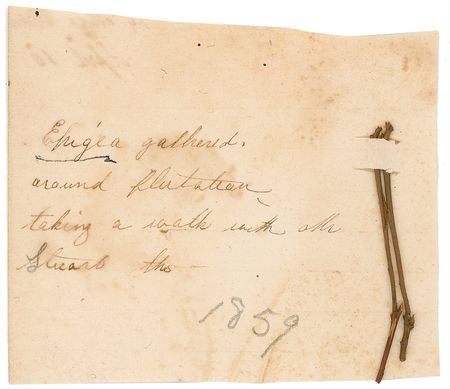 Lot #374 J. E. B. Stuart: A unique J. E. B. Stuart archive, containing a flirtatious note, remembrances of a walk, and the gift of a thimble - Image 4