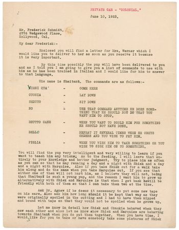 Lot #1043 Rudolph Valentino: Seduto! Valentino sends Italian commands for his three dogs, one aptly name Shiek - Image 1