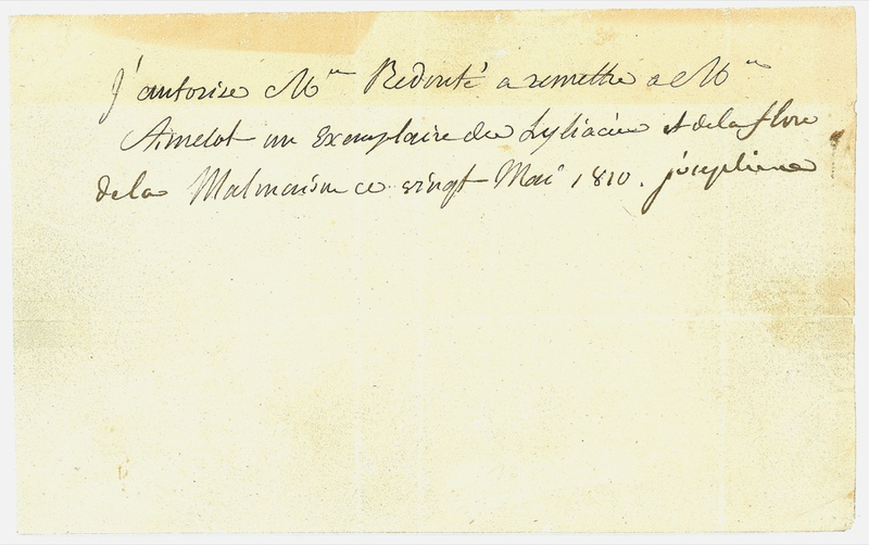 Lot 251 Josephine Signed Document