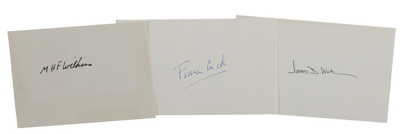 Lot 187 DNA: Watson, Crick, and Wilkins Signatures