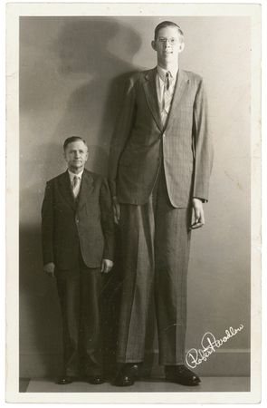 Lot #322 Robert Wadlow - Image 2