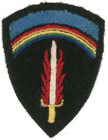 Lot #29 Dwight D. Eisenhower: Allied Expeditionary Forces patch, with signed explanation - Image 3