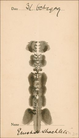 Lot #342 Ernest Shackleton: Ghostly Shackleton signature - Image 1