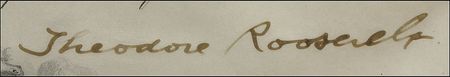 Lot #125 Theodore Roosevelt: Roosevelt naval appointment - Image 2