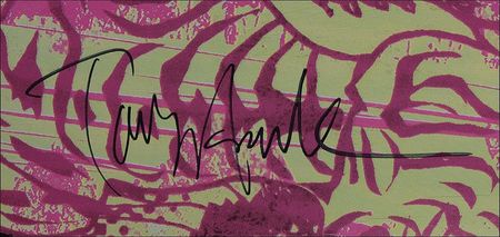 Lot #1227 Tony Hawk Skateboard - Image 3