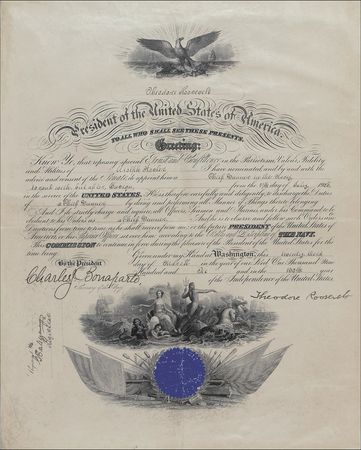 Lot #163 Theodore Roosevelt: Promoting a Chief Gunner in the Navy - Image 1