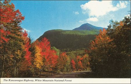 Lot #403 Bill Wilson Postcard - Image 1