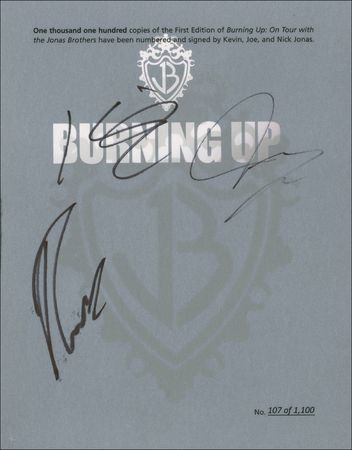 Lot #791 Jonas Brothers Book - Image 1
