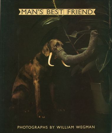 Lot #644 William Wegman - Image 2