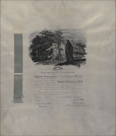 Lot #179 Woodrow Wilson: Wilson signs a visually striking Princeton diploma - Image 1