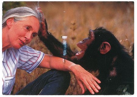 Lot #255 Jane Goodall Handwritten Letter Signed - Image 2