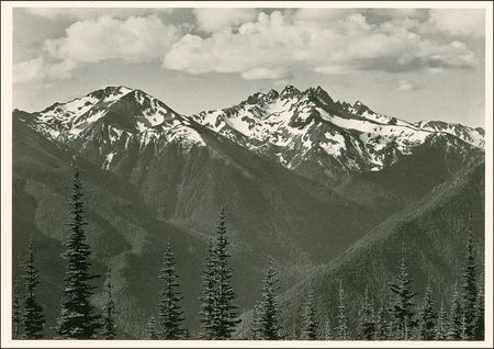 Lot #525 Ansel Adams Typed Letter Signed - Image 2
