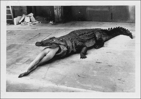 Lot #528 Helmut Newton Signed Photographs - Image 4