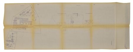 Lot #134 Apollo - Image 1