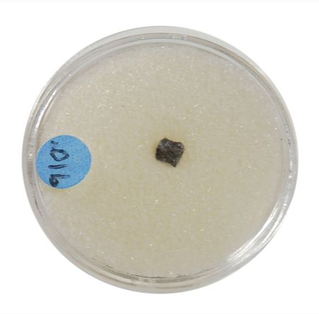 Lot #449 Lunar Meteorites - Image 2
