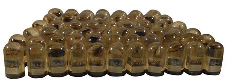 Lot #388 Skylab - Image 1