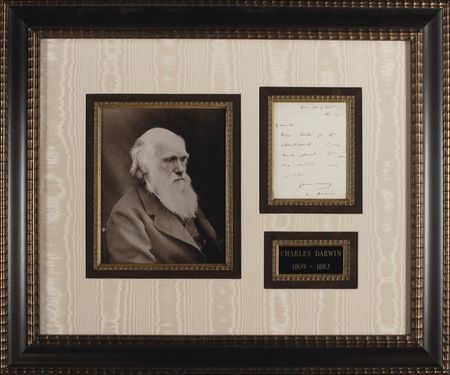 Lot #243 Charles Darwin: Boldly penned letter from history's most influential naturalist - Image 1