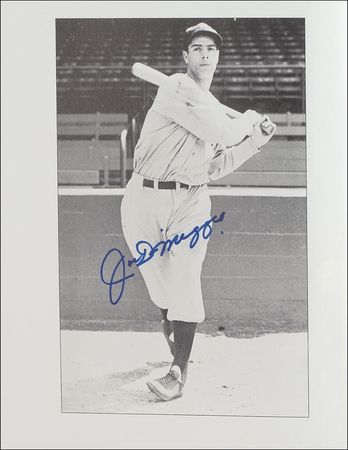 Lot #1217 Joe DiMaggio Book - Image 1