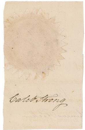 Lot #306 Caleb Strong - Image 2