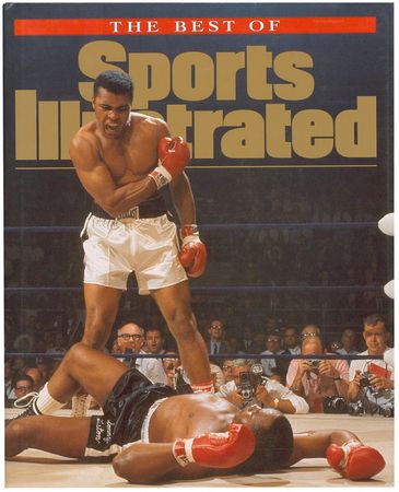 Lot #1567 Ted Williams Book - Image 1