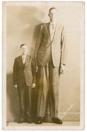 Lot #1179 Robert Wadlow - Image 2