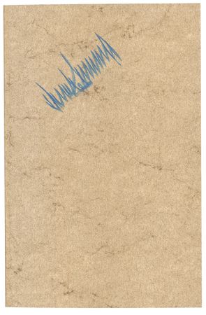 Lot #375 Donald Trump - Image 2