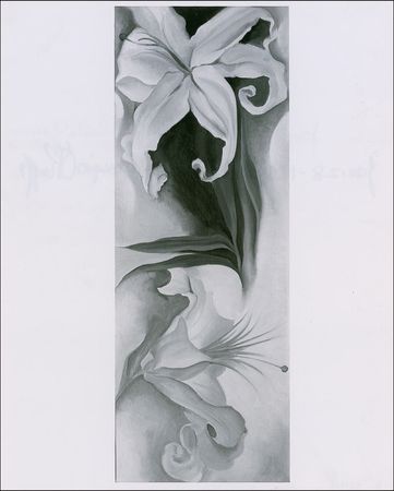 Lot #697 Georgia O’Keeffe: From O’Keeffe’s Wild Flower series - Image 2