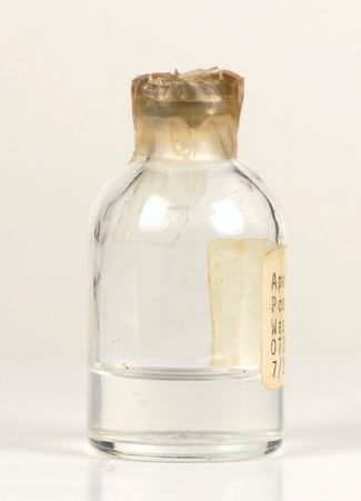 Lot #477  Apollo 11 - Image 2