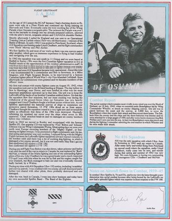 Lot #394 Royal Canadian Air Force Biographical Sheets - Image 2